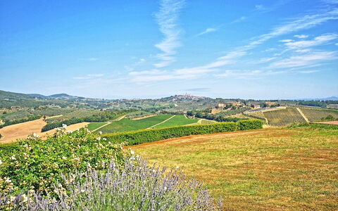 Vittoriana: Himmel, Naturlige Landskab, Natur, Blå, Grøn, Græs-, Bakke, Græs, Naturligt Miljø, Sky