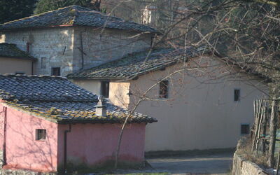 Fattoria Dell'orto Degli Ulivi