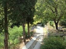 Fattoria Dell'orto Degli Ulivi