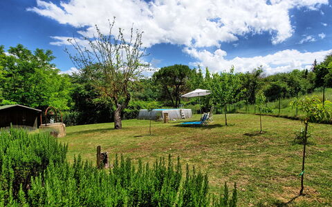Villa Diletta: Naturlige Landskab, Vegetationen, Grøn, Ejendom, Land Lot, Græs-, Græs, Naturreservat, Pasture, Naturligt Miljø