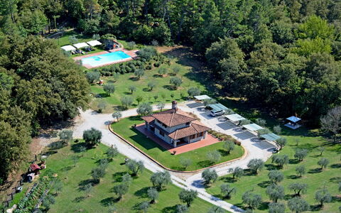 La Casetta nel Bosco: Ejendom, Plante, Bygning, Land Lot, Urban Design, Træ, Græs, Fritid, Boligområde, Landdistrikt