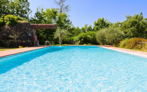 La Casetta nel Bosco: Estate, Stuehus, Have, Landscaping, Hacienda, Lawn, Villa, Gård, Backyard, Mansion