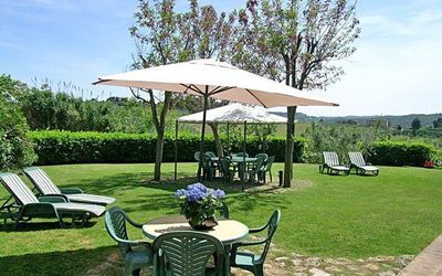 Podere Degli Olivi