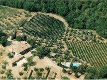 La Capanna Leopoldina