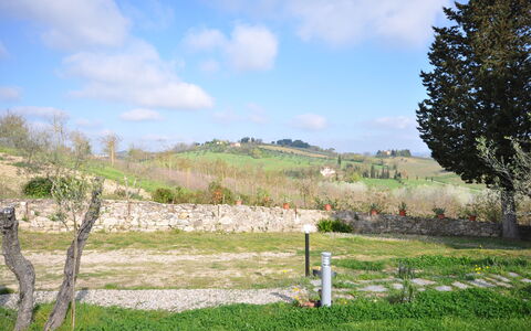Capannino: Land Lot, Pasture, Eng, Græs, Træ, Græsfamilien, Landdistrikt, Himmel, Græs-, Forår