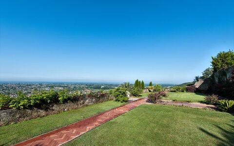 Villa Camaiore: Himmel, Ejendom, Græs, Ejendom, Daytime, Land Lot, Træ, Have, Botanik, Lawn