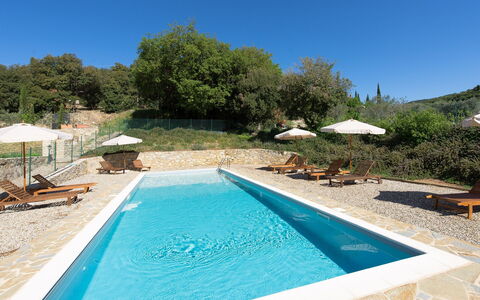 Villa Nova: Svømmepøl, Ejendom, Ejendom, Fritid, Hus, Vand, Ferie, Estate, Villa, Træ