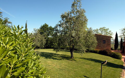 La Valle: Træ, Ejendom, Græs, Hus, Plante, Have, Vedplante, Botanik, Ejendom, Græsfamilien