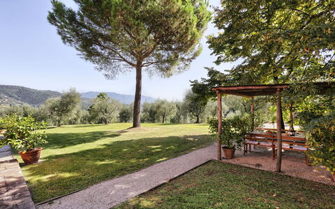 Le Pergole: Ejendom, Ejendom, Naturlige Landskab, Træ, Hus, Græs, Have, Hjem, Botanik, Gård