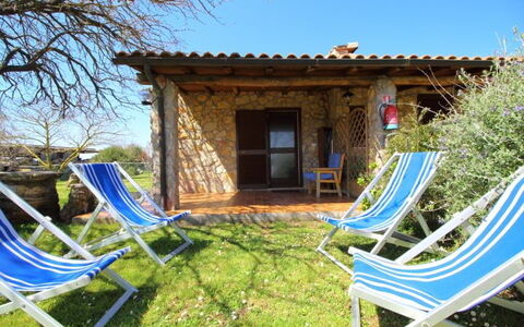 Funghi 1: Ejendom, Hus, Bygning, Sommerhus, Træ, Villa, Backyard, Ejendom, Fritid, Hjem