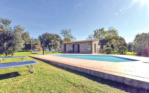 Funghi 1: Plante, Himmel, Bygning, Træ, Azure, Skygge, Svømmepøl, Land Lot, Græs, Hus