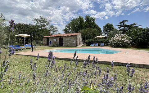 Funghi 1: Sky, Plante, Himmel, Vand, Blomst, Svømmepøl, Træ, Græs, Naturlige Landskab, Fritid