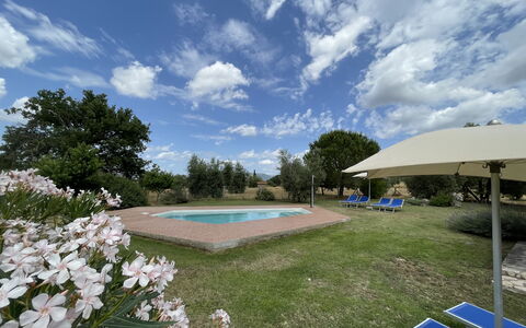 Funghi 1: Sky, Himmel, Plante, Blomst, Svømmepøl, Vand, Træ, Græs, Udendørs Møbler, Skygge