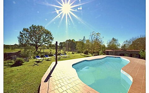 Funghi 2: Vand, Himmel, Plante, Natur, Azure, Svømmepøl, Græs, Træ, Skygge, Rektangel