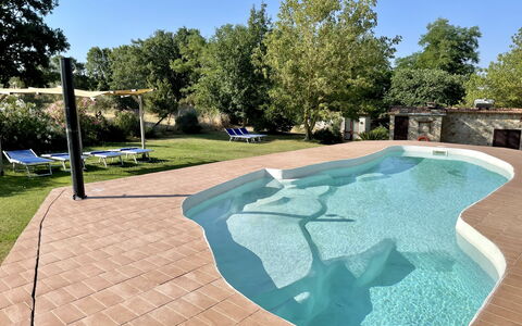 Funghi 2: Himmel, Plante, Træ, Skygge, Urban Design, Græs, Vejbelægning, Fritid, Vand, Udendørs Møbler