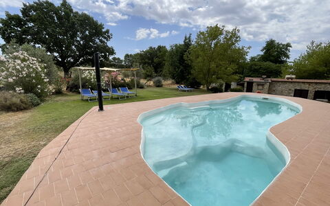 Funghi 2: Sky, Himmel, Vand, Plante, Svømmepøl, Træ, Skygge, Fritid, Kompositmateriale, Ejendom