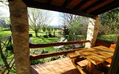 Funghi 2: Ejendom, Naturlige Landskab, Værelse, Bygning, Hus, Træ, Veranda, Ejendom, Sommerhus, Landscaping