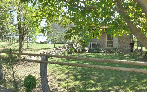 Funghi 2: Ejendom, Træ, Gård, Hus, Land Lot, Backyard, Græs, Hjem, Ejendom, Lawn