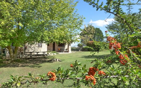 Funghi 2: Vegetationen, Ejendom, Naturlige Landskab, Hus, Have, Træ, Blomst, Plante, Ejendom, Sommerhus