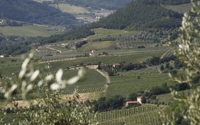 Feriebolig:&nbsp;Pruno