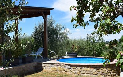 Selva degli Ulivi - Sinalunga, Toscana, Italien