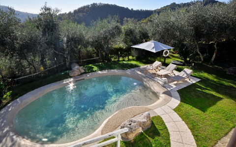 Casa Roberto: Svømmepøl, Water Feature, Have, Udvej, Landscaping, Ferieby, Hacienda, Villa, Backyard, Eco Hotel