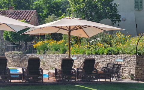 Angeloni: Plante, Møbel, Paraply, Stol, Bord, Skygge, Træ, Udendørs Møbler, Botanik, Bygning