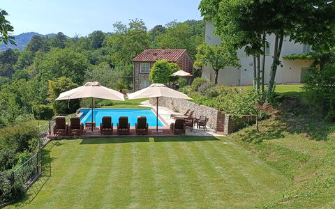 Angeloni: Plante, Træ, Himmel, Land Lot, Skygge, Græs, Bygning, Fritid, Landskab, Naturlige Landskab