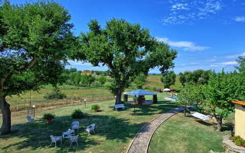 Casa Catia: Ejendom, Træ, Ejendom, Gård, Transportere, Have, Hus, Land Lot, Landdistrikt, Hjem