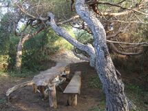 Appartamento - Le Finestre