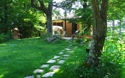 Villa La Quercia: Naturlige Landskab, Natur, Grøn, Gård, Vegetationen, Græs, Ejendom, Træ, Have, Backyard