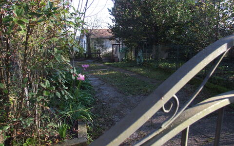 Villa Agrifogli: Transportere, Træ, Hjul, Græs, Jern, Plante, Hus, Vej, Køretøj