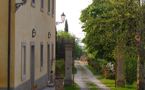 Tenuta Il Tresto: Træ, Stad, Gade, Gyde, Væg, Vej, Arkitektur, Kvarter, Hus, Bygning