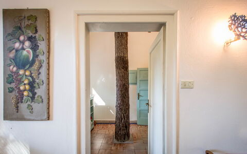 Marina Dei Ronchi Prestige: Ejendom, Værelse, Væg, Dør, Hus, Indretning, Hjem, Etage, Bygning, Træ