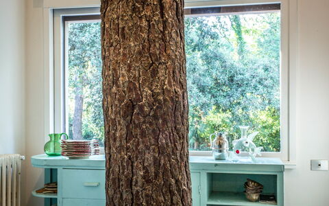 Marina Dei Ronchi Prestige: Gardin, Vindue Behandling, Træ, Grøn, Indretning, Vindue, Værelse, Turquoise, Brun, Textile